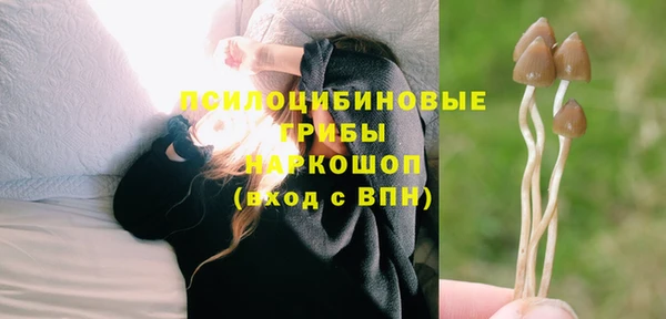 молекула духа Алексеевка