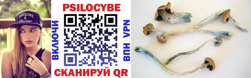 Галлюциногенные грибы GOLDEN TEACHER наркошоп Анива
